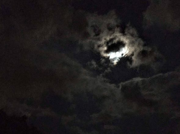 Screenshot 2019-10-24 at 2.33.36 PM